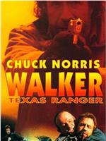 Walker Texas Ranger 3: Deadly Reunion在线观看和下载