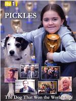 Pickles: The Dog Who Won the World Cup在线观看和下载