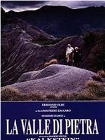 La valle di pietra在线观看和下载