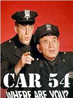 Car 54, Where Are You?在线观看和下载