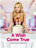 A Wish Come True在线观看和下载