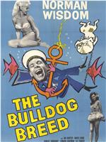 The Bulldog Breed在线观看和下载