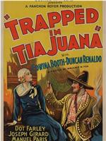 Trapped in Tia Juana在线观看和下载