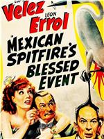 Mexican Spitfire's Blessed Event在线观看和下载