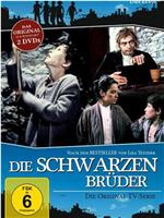 Die schwarzen Brüder在线观看和下载