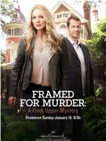 Framed for Murder: A Fixer Upper Mystery在线观看和下载