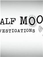 Half Moon Investigations在线观看和下载