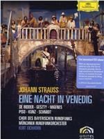 Eine Nacht in Venedig在线观看和下载