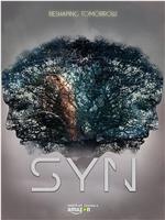 Syn Season 1在线观看和下载