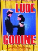 Lude godine, II deo在线观看和下载