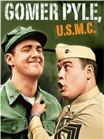 Gomer Pyle, U.S.M.C.在线观看和下载