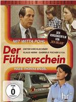 Der Führerschein在线观看和下载