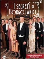 I Segreti di Borgo Larici Season 1在线观看和下载