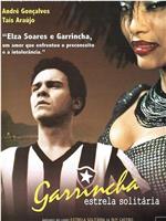 Garrincha - Estrela Solitária在线观看和下载