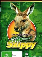 The Adventures of Skippy在线观看和下载