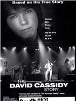 The David Cassidy Story在线观看和下载