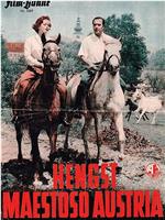 Hengst Maestoso Austria在线观看和下载