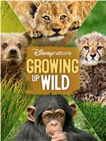 Growing Up Wild在线观看和下载