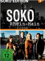 Die Spezialisten: Kripo Rhein-Main Season 1在线观看和下载