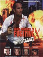 Fugitive X: Innocent Target在线观看和下载