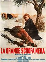 La grande scrofa nera在线观看和下载