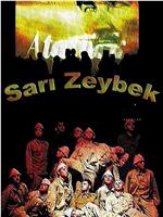 Sari Zeybek在线观看和下载