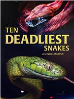 十大毒蛇 第二季在线观看和下载