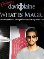 David Blaine: What Is Magic?在线观看和下载