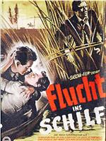 Flucht ins Schilf在线观看和下载