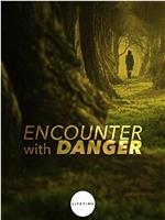 Encounter with Danger在线观看和下载