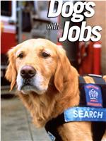 Dogs with Jobs在线观看和下载