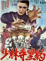 少林寺黑豹在线观看和下载