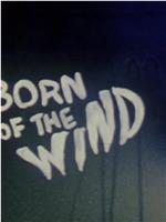 Born of the Wind在线观看和下载