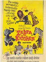 Zebra in the Kitchen在线观看和下载