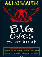 Aerosmith: Big Ones You Can Look at在线观看和下载