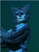 Peter and the Wolf观看