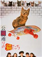 公园路的猫们在线观看和下载