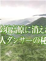 混浴露天風呂連続殺人 那須高原に消えた美人ダンサーの秘密 ヌードギャルと温泉の鉄人秘湯ツアー在线观看和下载