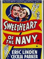 Sweetheart of the Navy在线观看和下载