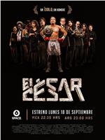 El Cesar在线观看和下载