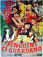 I pinguini ci guardano在线观看和下载