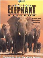 非洲大象王国在线观看和下载