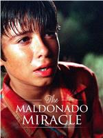 The Maldonado Miracle在线观看和下载