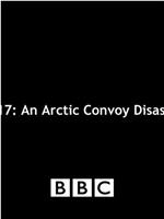 PQ17: An Arctic Convoy Disaster在线观看和下载