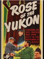 Rose of the Yukon在线观看和下载