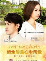 true love story在线观看和下载