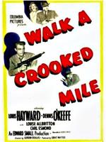 Walk a Crooked Mile在线观看和下载