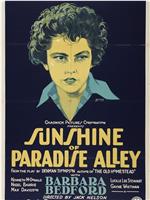 Sunshine of Paradise Alley在线观看和下载