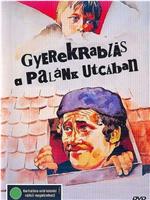 Gyerekrablás a Palánk utcában在线观看和下载