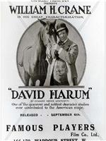 David Harum观看